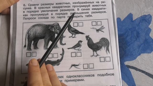 Окружающий мир 19.10.21