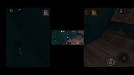 я играю в роблокс уже с эфект ами