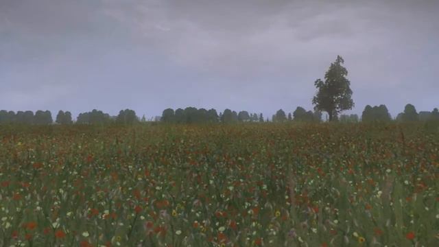 Grass Mod
