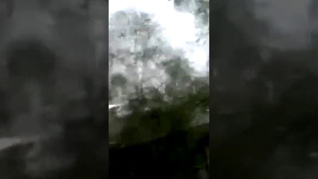 Удар молнии с близкого расстояния в Архангельской области