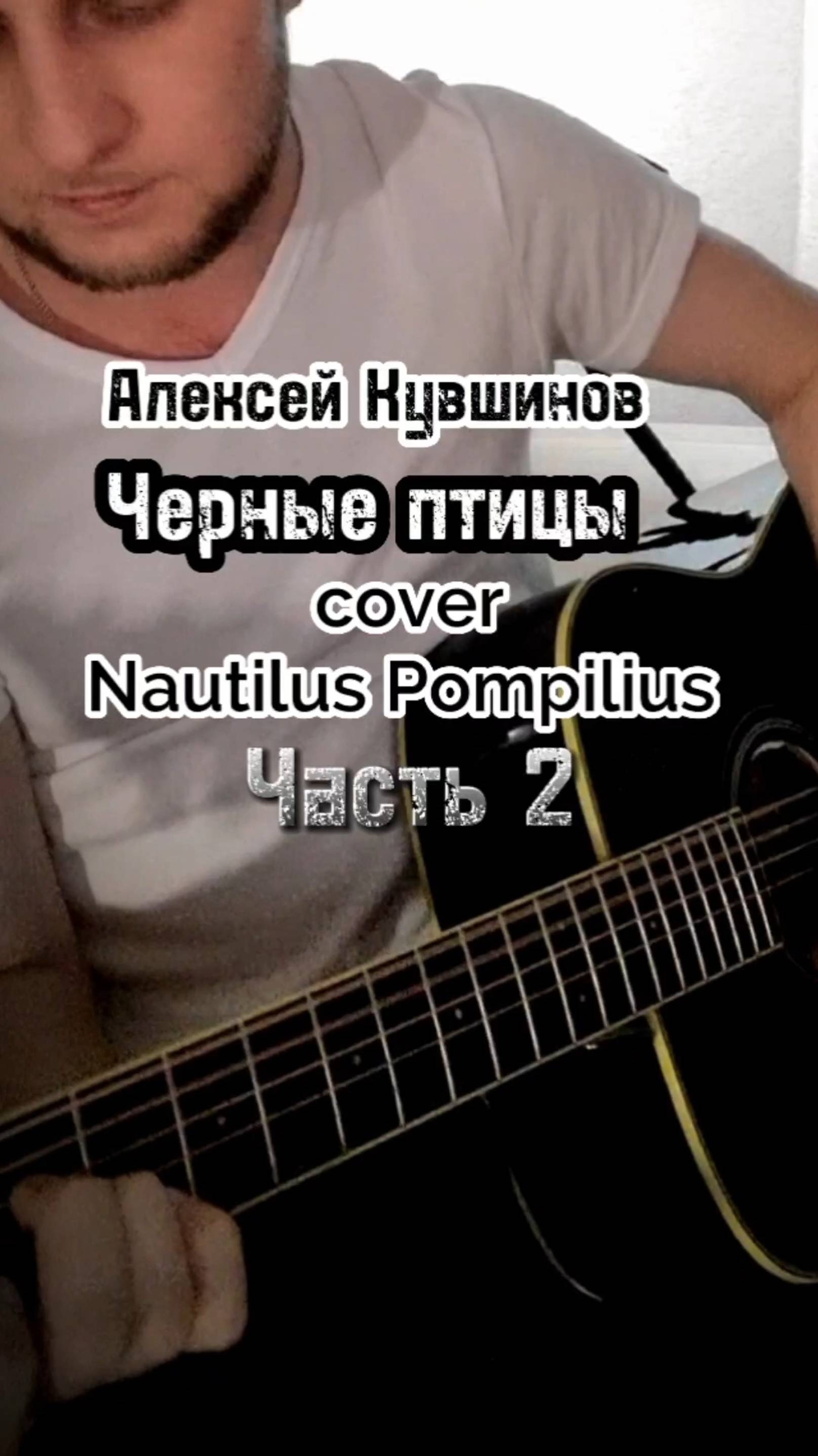 Черные птицы/cover Наутилус/А.Кувшинов #песниподгитару #акустика #каверподгитару #наутилус #бодров