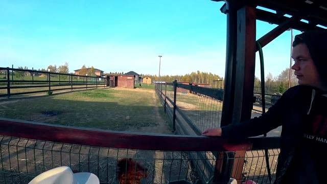 ВПЕРВЫЕ УВИДЕЛИ АЛЬПАК  ОДИН ДЕНЬ В ПАРКЕ С АЛЬПАКАМИ