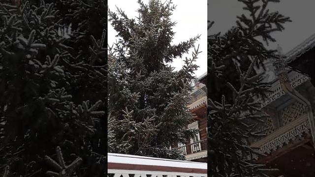 Сказочный вид на улице сегодня. 29.11.2022. Иркутск.
