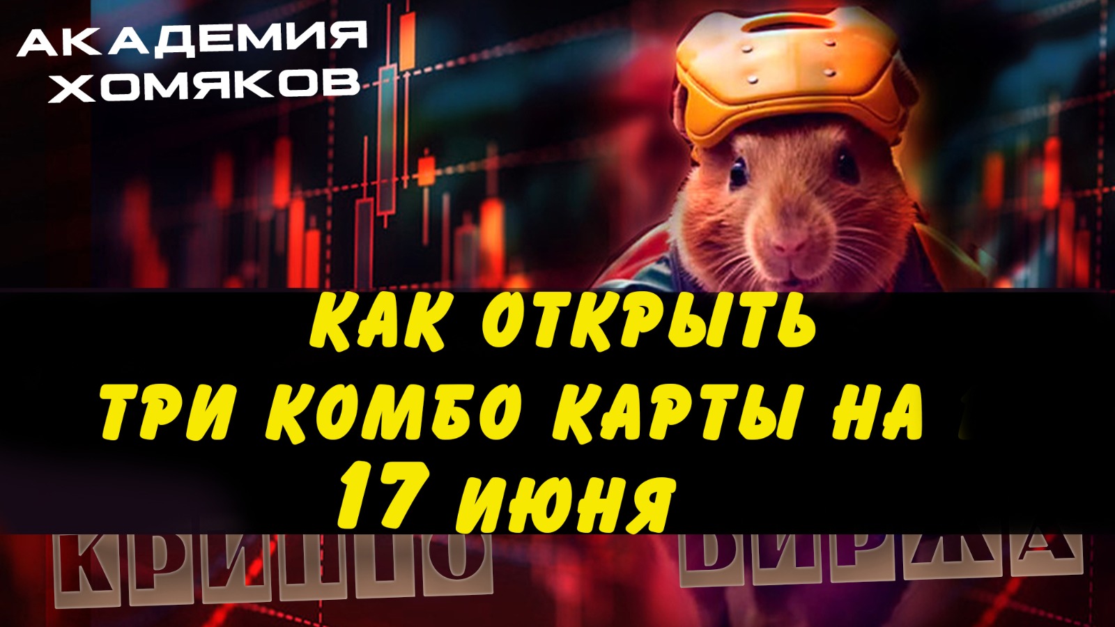 Как открыть 3 комбо карты на 17 июня в хомяке Hamster Kombat