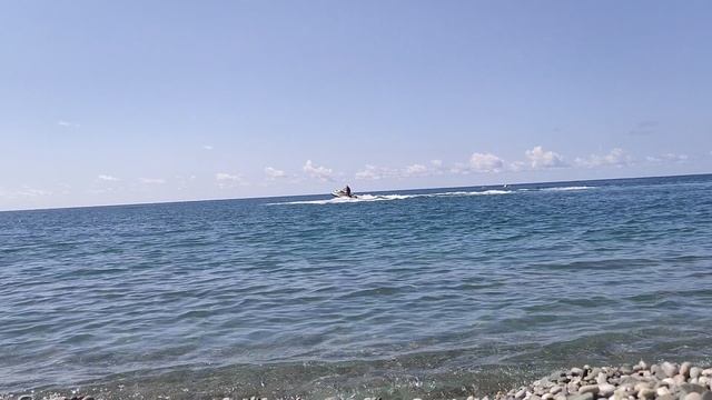 VID20230914124349.mp4