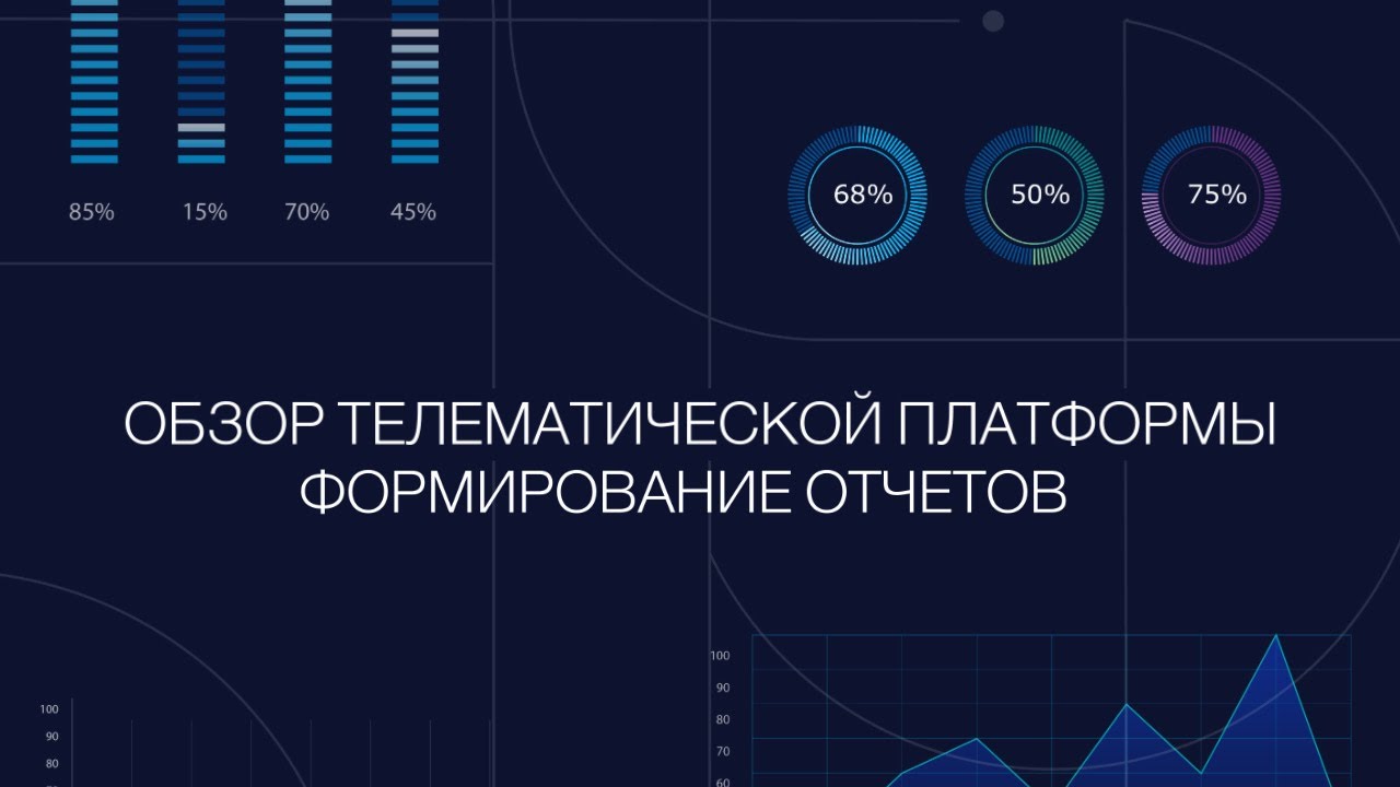 Формирование отчета внутри системы телематики SKYLON