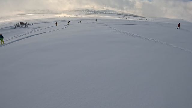 Фрирайд Без Границ: Сноуборд в Приисковом