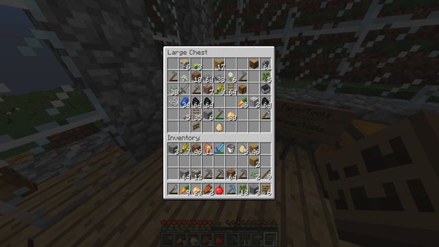 Minecraft SMP - Wondercraft -Timelapses/Chest - #3