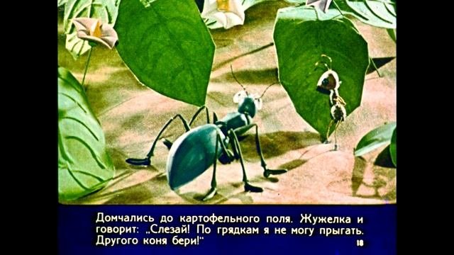 Диафильм Виталий Бианки - Как муравьишка домой спешил