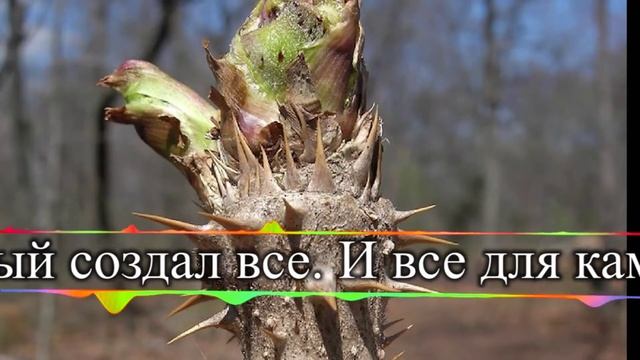 Строчник на 5 тронзисторах. Генератор на 15 кГц из КТ315А выходной каскад собран на MOSFET RFP40N10