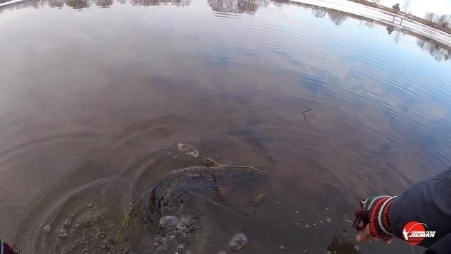 Рыбалка на Москва Реке в Феврале. Душевный выезд!!!