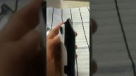 Wahl Cordless Detailer