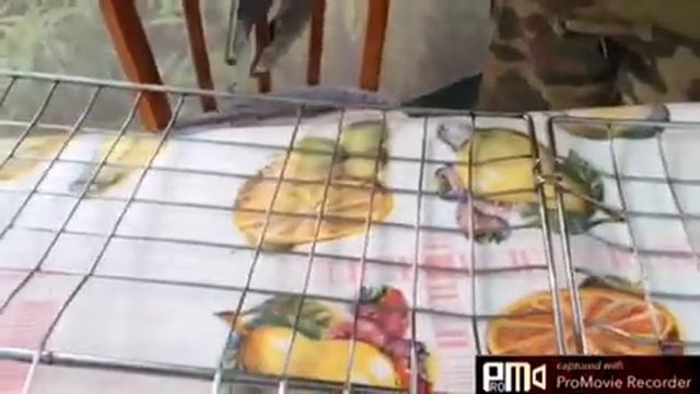 Улучшаем решётку гриль.Отдыхаем с пользой