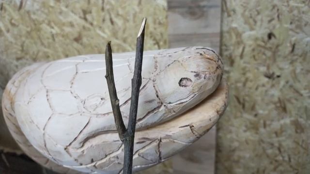 Королевский питон из корня.