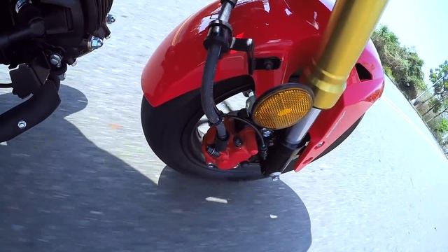 [IN測試] 輕鬆玩 - HONDA MSX 125