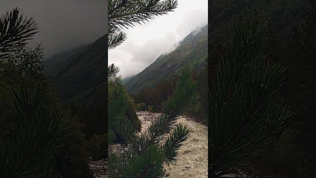 Там за туманами 🌬️🌲⛈️