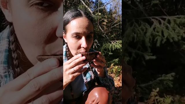 Прекрасный чай от наших друзей в нашей керамике приготовленный в лесах междуречья Сылвы и Чусовой