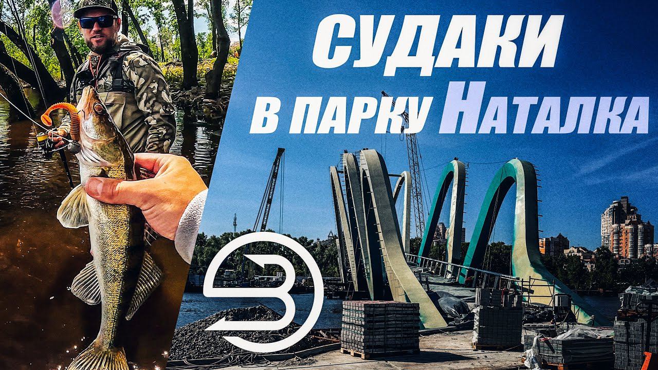 Судаки роздають в Київському парку. Як зловити судака в міських умовах.
