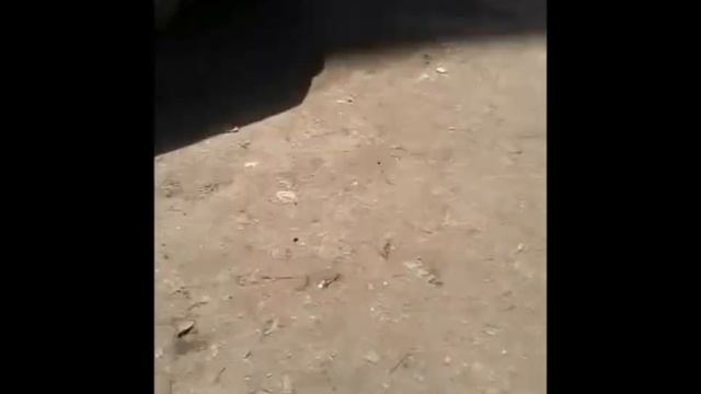 Влог: собрание в школе, и мы снова  на больничном...