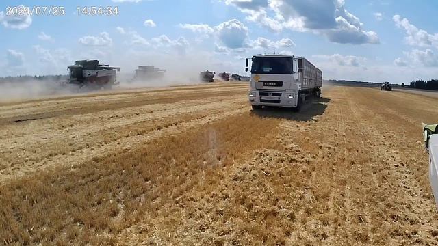 Камаз на уборке ячменя 🌾🌾🌾