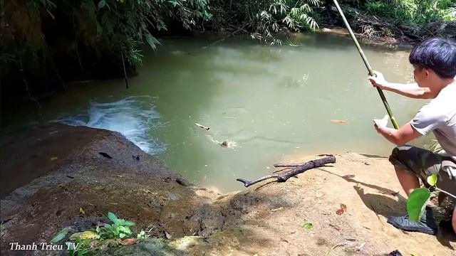 Жизнь и рыбоводство в джунглях Вьетнама.