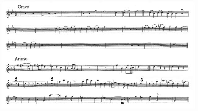 Play the Violin sheet music with Jed Wentz/ de Fesch: Concerto for 2 Flutes Op.5 No.2 in g minor