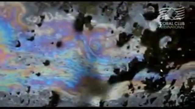 CORAL CLUB Коралловая вода Коралловый кальций Coral Mine