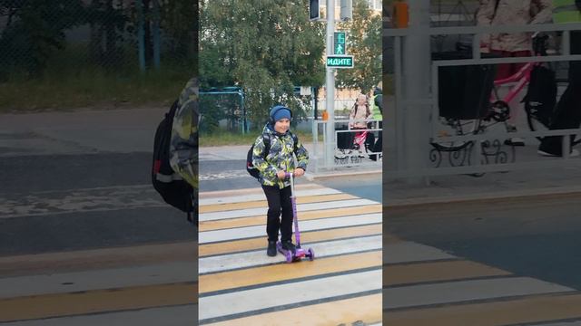 Видеообращение "Перейдем дорогу правильно" Янишевская Е.В.