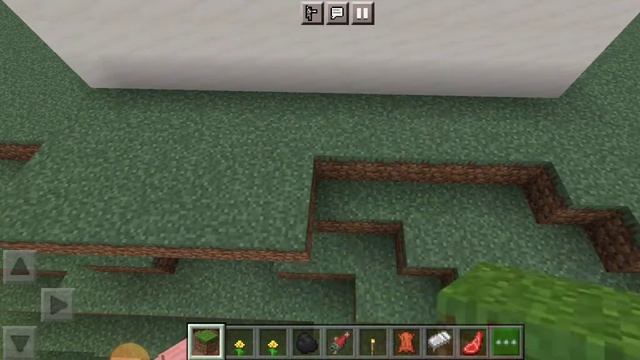 garnny and Minecraft Java edition ??