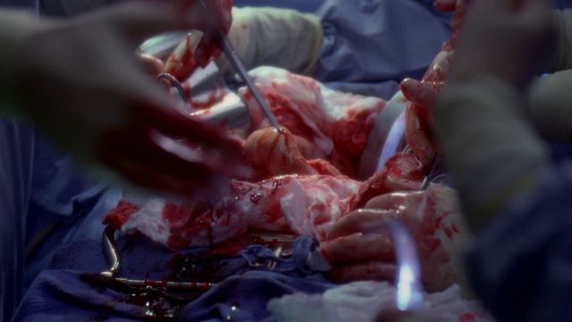 Grey's.Anatomy.S05E21.x264.BDRip.720p.Rus.eng
