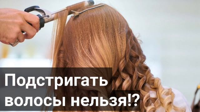 Как сестра хотела подстричь волосы... Примеры из проповедей МСЦ ЕХБ | Д.Самарин