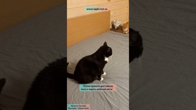 серьёзные планы 