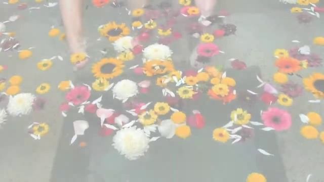 4k flower Video | 4k flower video ultra hd | hdr video | 60fps |