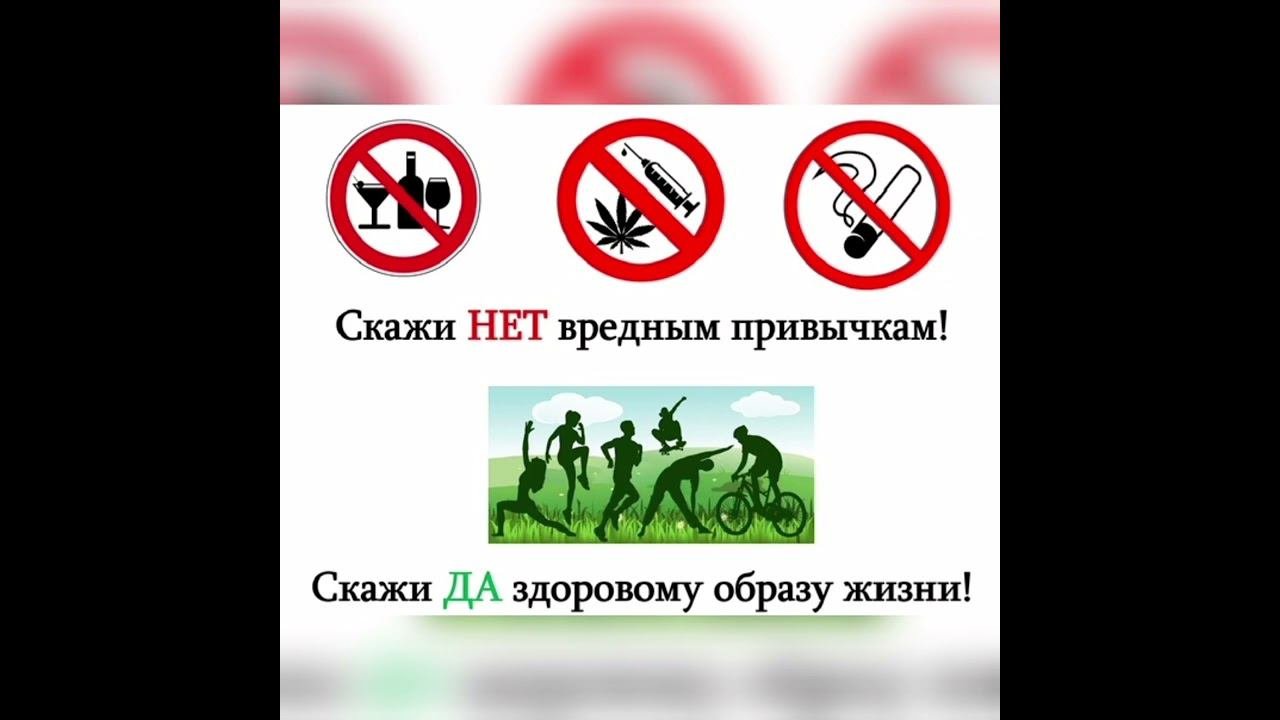 В жизнь без вредных привычек