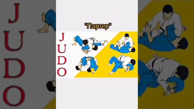 Мой любимый вид спорта - дзюдо