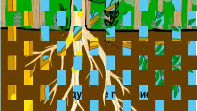 Как питается растение. Фотосинтез. Рассказывает Алиса Ридель.