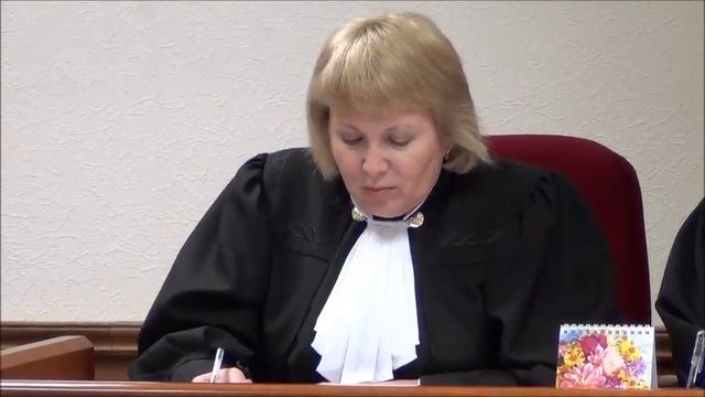 Рассмотрение апелляционной жалобы Бабины