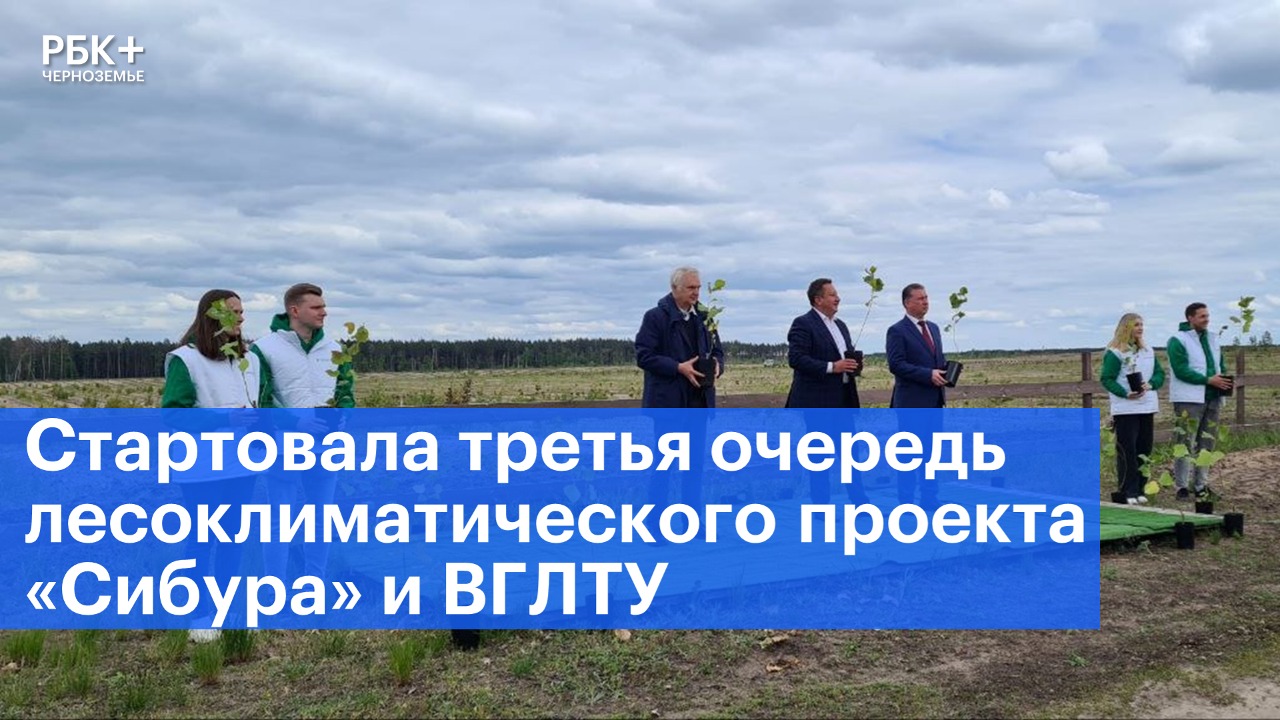 Стартовала третья очередь лесоклиматического проекта «Сибура» и ВГЛТУ