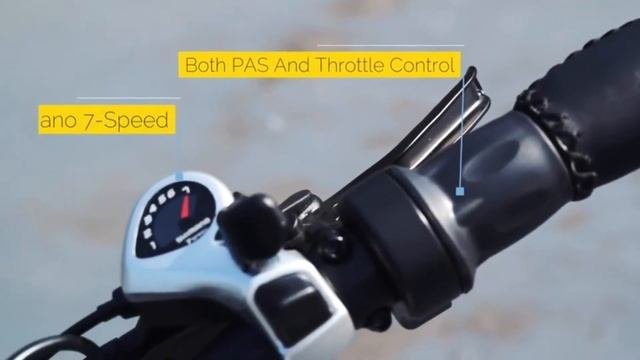 ECOTRIC 26 Electric Bike Review  ll Best 1000W Powerful Electric City Bicycle 2019