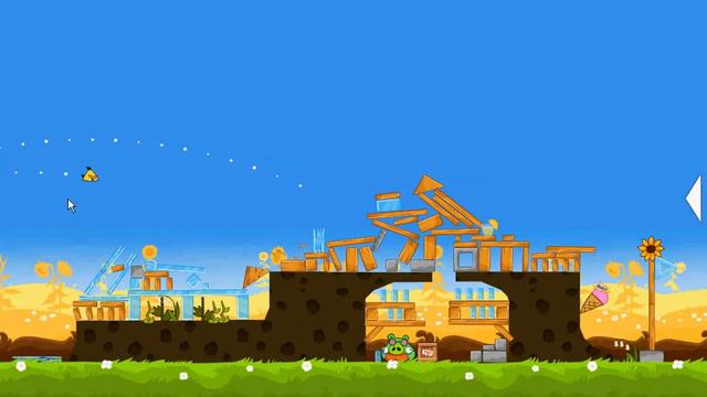 ANGRY BIRDS (CROME) SUMMER PIGNIC LEVEL 20