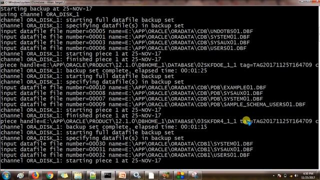 How to take backup of container & Pluggable database-Oracle 12C Administration