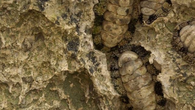 красное море. южный синай. шарм-эль-шейх.