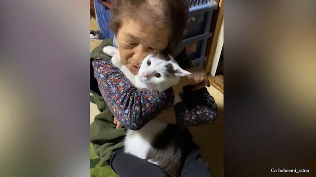 A little kitten comes and brightens the lives of the grandparents - Life With Cat Is Beautiful!