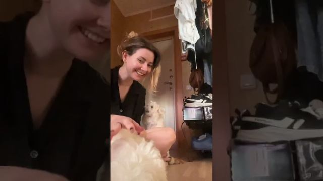 Какие облачка)) Мальтезики!