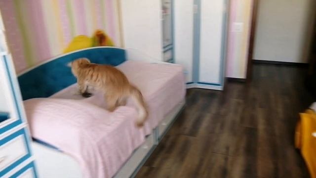 Прыжок за мышью с кувырком