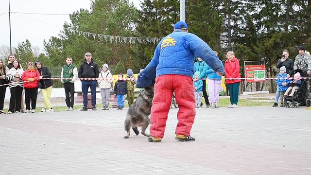 Дрессировка собак в Омске - ОЦССС