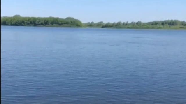 Какая  активность клева  рыбы ожидается  в июне.