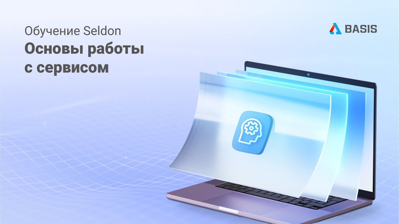 Seldon.Basis. Основы работы с сервисом