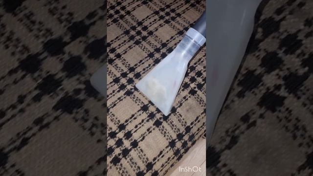 Выехали на уборку дома в лесу!