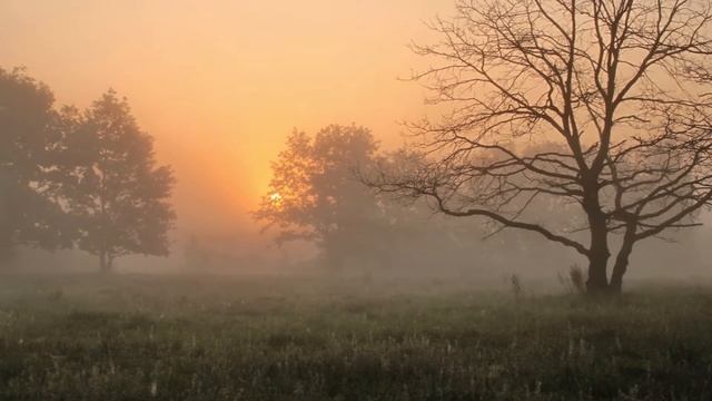 не бродить, не мять в кустах багряных